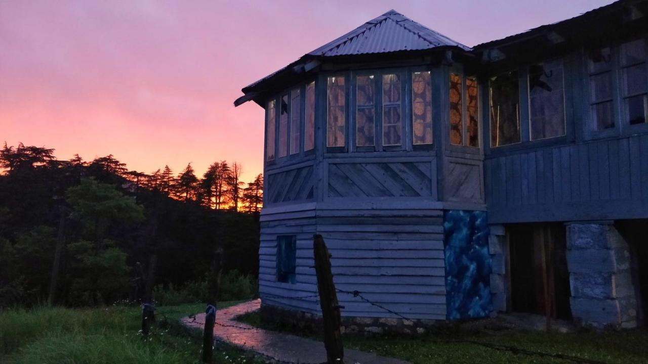 Black Bear Cottage Khajjiar Exteriör bild