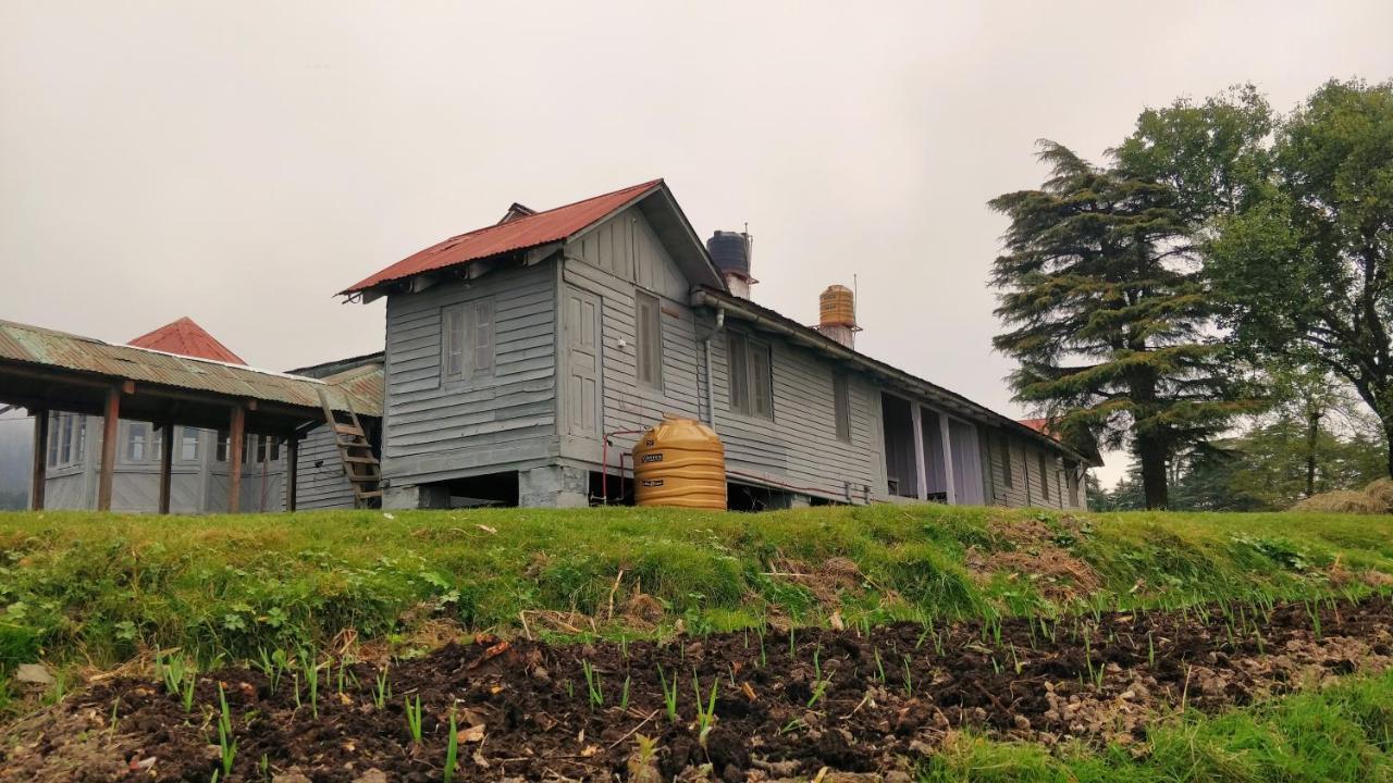 Black Bear Cottage Khajjiar Exteriör bild